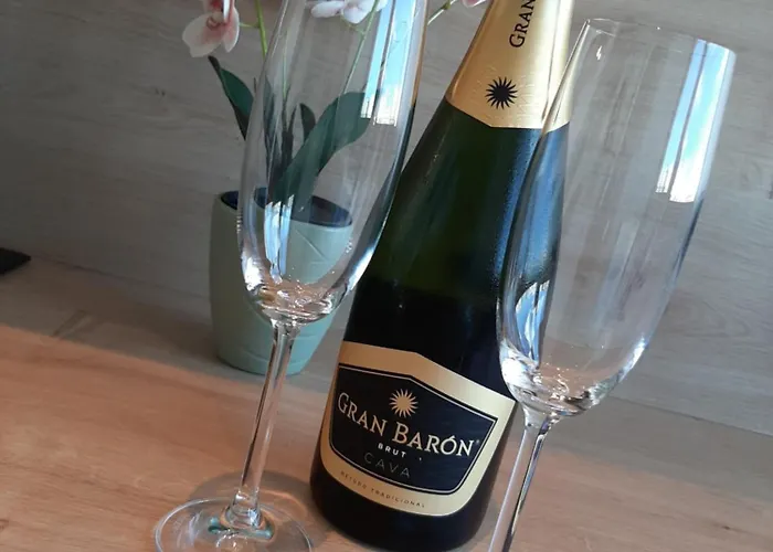 Apartamento Driemaster *